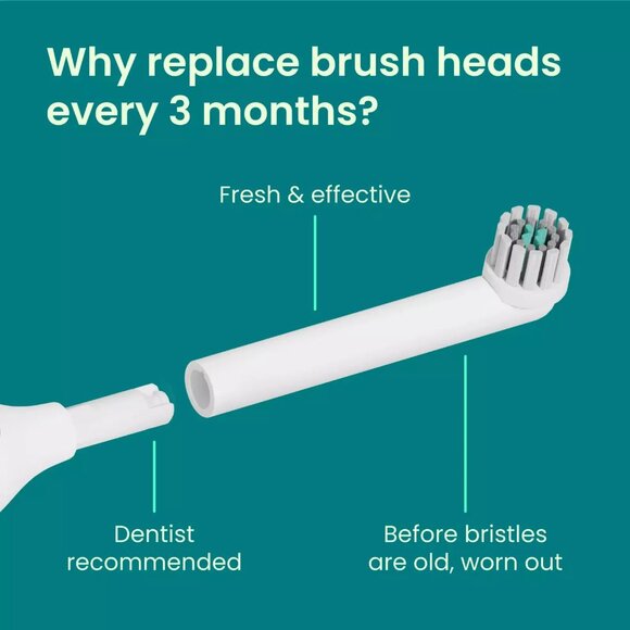 Quip 360 Oscillating Electric Toothbrush Head, Adult Compact Head Refill -Sealed - Picture 5 of 5